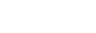 dm logo white